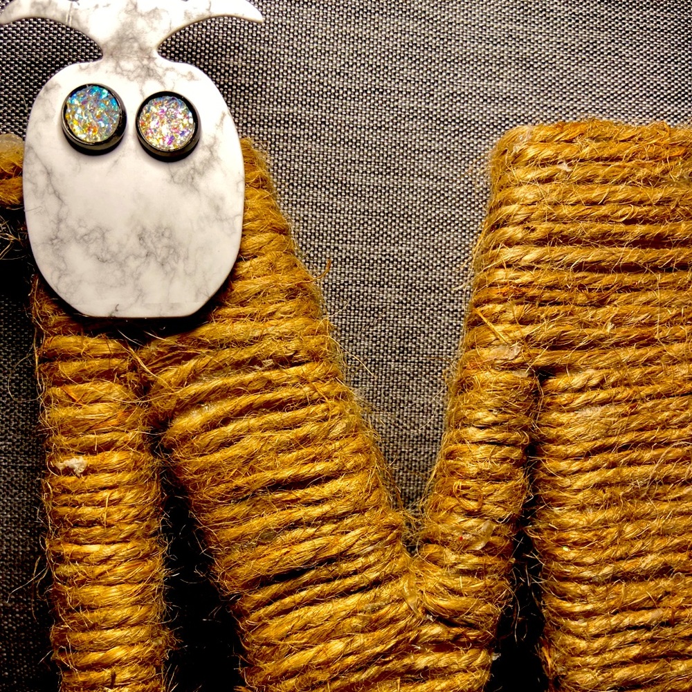Homemade earrings!